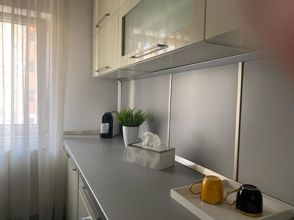 Apartament Doua Camere Baia Mare Exterior photo